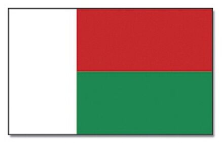 Vlag Madagaskar 90 x 150 cm feestartikelen - Madagaskar/Malagassische landen thema supporter/fan decoratie artikelen