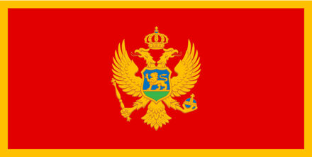 Vlag Montenegro 90 x 150 cm feestartikelen - Montenegro landen thema supporter/fan decoratie artikelen