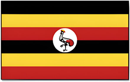 Vlag Oeganda 90 x 150 cm feestartikelen - Oeganda landen thema supporter/fan decoratie artikelen