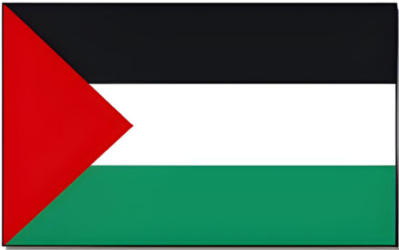 Vlag Palestina - 90 x 150 cm - Palestijnse Vlag - Palestine