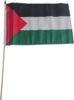 Vlag Palestina handvlag op stok - 30 x 45 cm - Landen thema versiering - supporters Multi