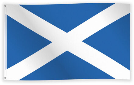 Vlag Schotland 90x150cm Multikleur - Print