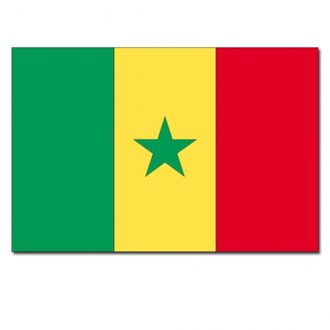 Vlag Senegal 90 x 150 cm feestartikelen -Senegal landen thema supporter/fan decoratie artikelen