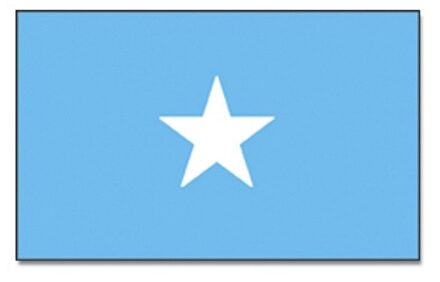 Vlag Somalie 90 x 150 cm feestartikelen -Somalie landen thema supporter/fan decoratie artikelen