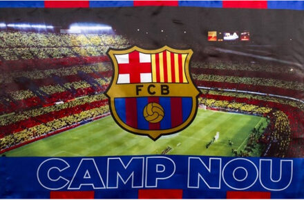 Vlag stadion 100 x 150 cm