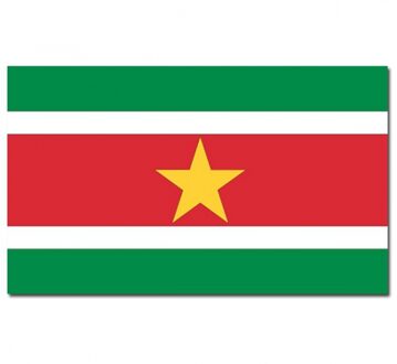 Vlag Suriname 90 x 150 cm feestartikelen Multi