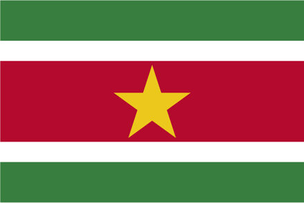 Vlag Suriname 90 x 150 cm feestartikelen - Suriname landen thema supporter/fan decoratie artikelen