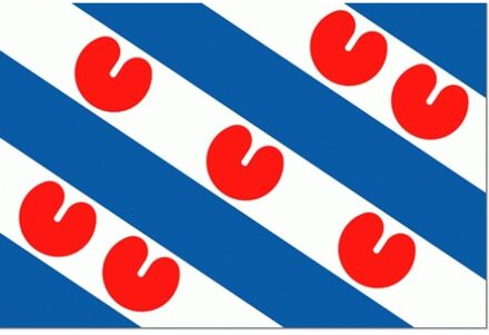 Vlag Van De Provincie Friesland 40x60cm