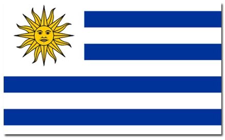 Vlag van Uruguay - 90 x 150 cm - feestartikelen - landen thema - supporters - versiering