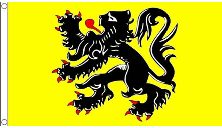 Vlag van Vlaanderen - met leeuw - geel - 90 x 150 cm - polyester - met ophangogen