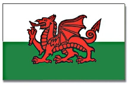 Vlag Wales - wit/groen/rood - polyester - 90x150 cm - landen vlag