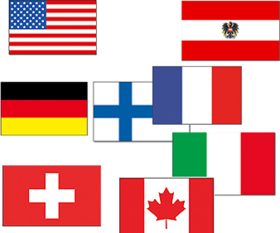 Vlaggen van wintersport landen Multi