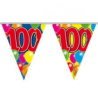 Vlaggenlijn 100 jaar 10 meter - Vlaggenlijnen Multikleur