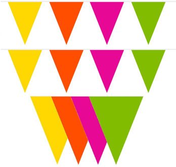 Vlaggenlijn - 2x - gekleurd - 10 meter - plastic - versiering - slingers - vlaggetjes