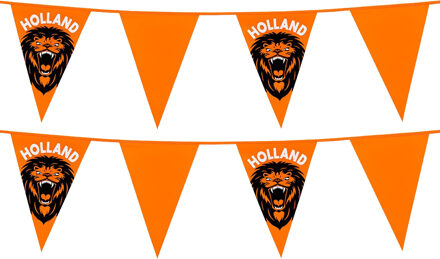 Vlaggenlijn - 2x - oranje met leeuw - 6 meter - 15 vlaggen - kunststof - Vlaggenlijnen