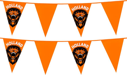 Vlaggenlijn - 2x - oranje met leeuw - 6 meter - 15 vlaggen - kunststof