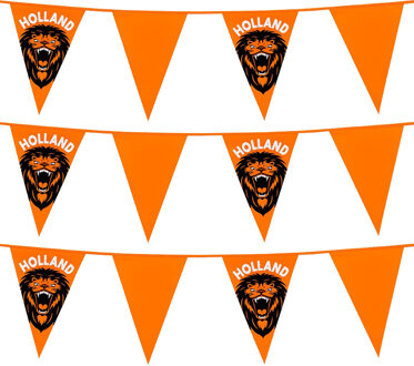Vlaggenlijn - 3x - oranje met leeuw - 6 meter - 15 vlaggen - kunststof