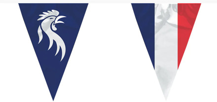 Vlaggenlijn Allez les Bleus Multikleur - Print