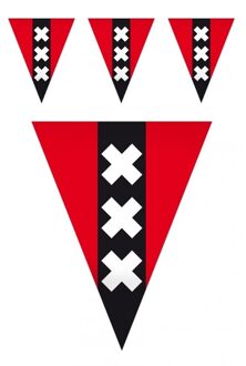 Vlaggenlijn Amsterdam met 20 vlaggetjes - 3x - Amsterdamse vlag - 10 meter