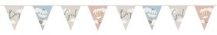 Vlaggenlijn Baby Balloons Gender Reveal (6m) Multikleur - Print