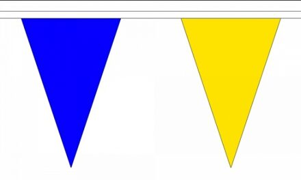 Vlaggenlijn blauw/geel deluxe