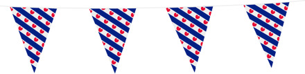 Vlaggenlijn Friesland (10m) Multikleur - Print
