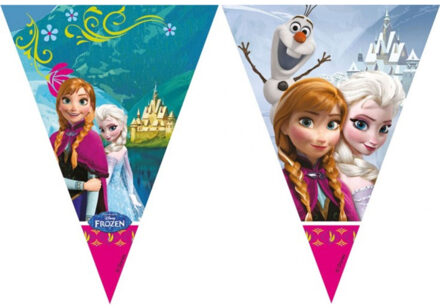 Vlaggenlijn - Frozen - 2m