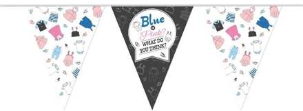 vlaggenlijn gender reveal blauw/roze 10 m Wit