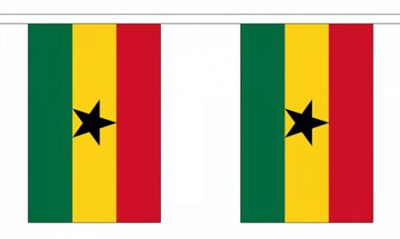 Vlaggenlijn ghana 9 m Multi