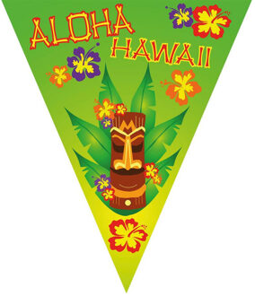 Vlaggenlijn Hawaii thema party van 5 meter - Vlaggenlijnen Multikleur