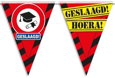 Vlaggenlijn hoera geslaagd Multikleur - Print