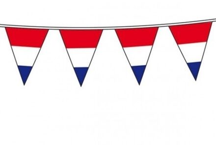 Vlaggenlijn Holland - 1x - Nederlandse vlag - rood wit blauw - 10 meter
