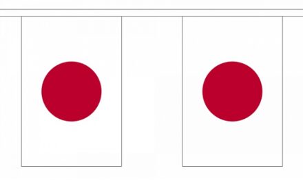 Vlaggenlijn Japan - 9 meter - polyester - Japanse slinger - landenversiering - feestartikelen Multi