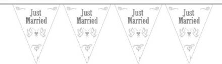 Vlaggenlijn Just Married 10 Meter Wit