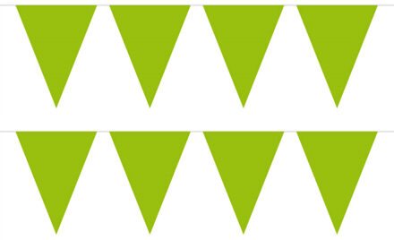 Vlaggenlijn met Feestvlaggetjes in XL formaat - 2x - groen - 10 meter - plastic - versiering