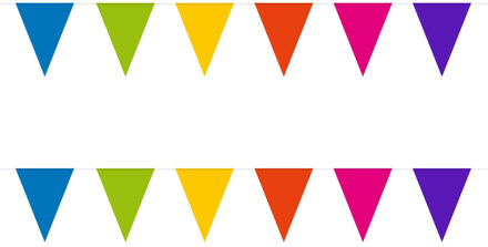 Vlaggenlijn met Feestvlaggetjes in XL formaat - 2x - multicolour - 10 meter - plastic - versiering