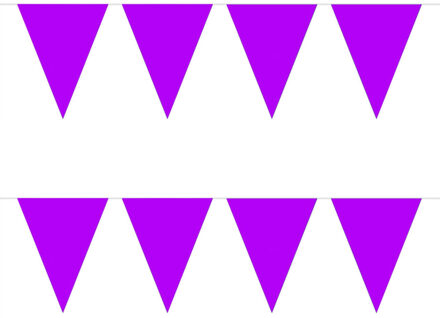 Vlaggenlijn met Feestvlaggetjes in XL formaat - 2x - paars - 10 meter - plastic - versiering