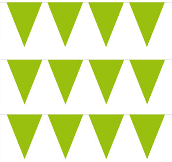 Vlaggenlijn met Feestvlaggetjes in XL formaat - 3x - groen - 10 meter - plastic - versiering