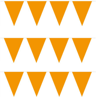 Vlaggenlijn met Feestvlaggetjes in XL formaat - 3x - oranje - 10 meter - plastic - versiering