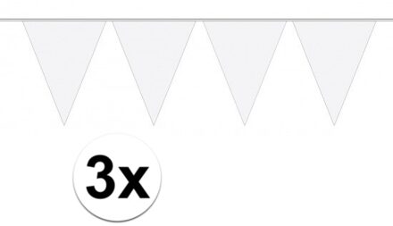Vlaggenlijn met Feestvlaggetjes in XL formaat - 3x - wit - 10 meter - plastic - versiering