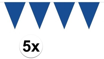 Vlaggenlijn met Feestvlaggetjes in XL formaat - 5x - blauw - 10 meter - plastic - versiering