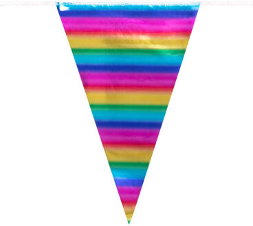 Vlaggenlijn Metallic Regenboog 10 Meter Multikleur