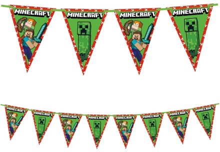 Vlaggenlijn Minecraft FSC (2.3m) Multikleur - Print