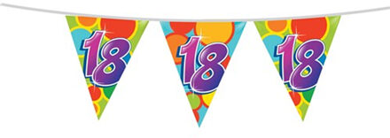 Vlaggenlijn Multicolor 18 Jaar 10 Meter Multikleur