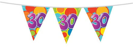 Vlaggenlijn Multicolor 30 Jaar 10 Meter Multikleur