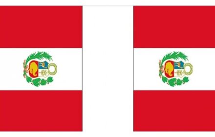 Vlaggenlijn Peru 9 m Multi