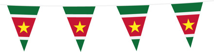Vlaggenlijn Suriname (10m) Multikleur - Print