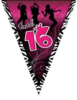 Vlaggenlijn Sweet 16 Roze - 5m Multikleur - Print