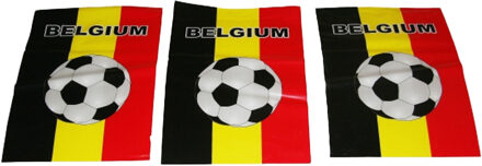 Vlaggenlijn voetbal - Belgi? - multi - 10 m- voetbalfeest decoratie