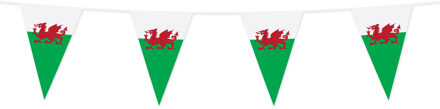Vlaggenlijn Wales (10m) Multikleur - Print